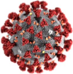 Logo Coronavirus : en confinement depuis ce 18-03